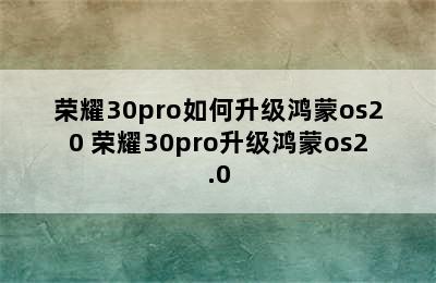 荣耀30pro如何升级鸿蒙os20 荣耀30pro升级鸿蒙os2.0